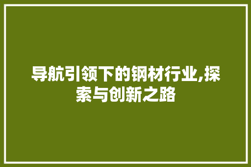导航引领下的钢材行业,探索与创新之路