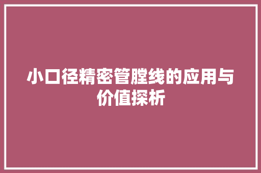 小口径精密管膛线的应用与价值探析