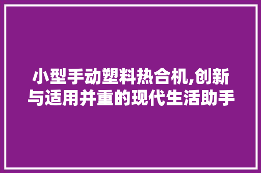 小型手动塑料热合机,创新与适用并重的现代生活助手