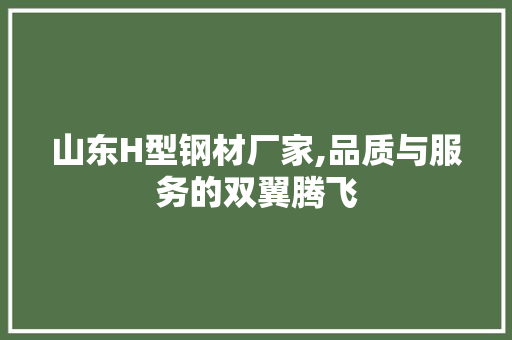 山东H型钢材厂家,品质与服务的双翼腾飞