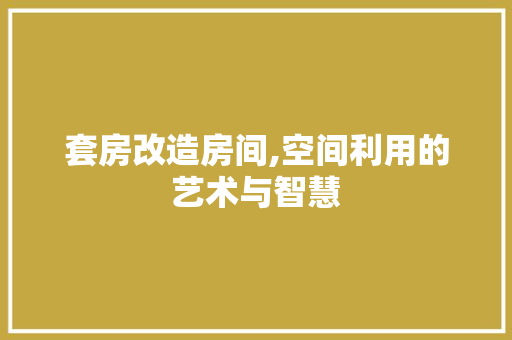 套房改造房间,空间利用的艺术与智慧