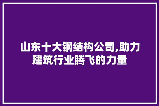 山东十大钢结构公司,助力建筑行业腾飞的力量