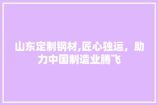 山东定制钢材,匠心独运，助力中国制造业腾飞