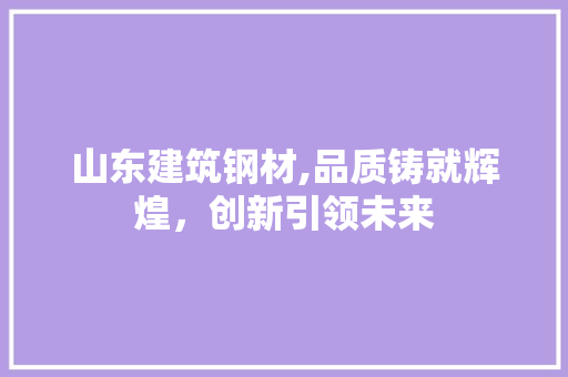 山东建筑钢材,品质铸就辉煌，创新引领未来