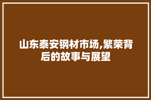 山东泰安钢材市场,繁荣背后的故事与展望