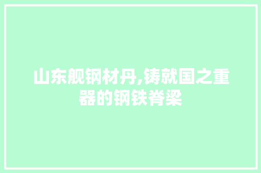 山东舰钢材丹,铸就国之重器的钢铁脊梁