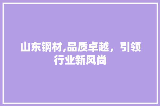 山东钢材,品质卓越，引领行业新风尚