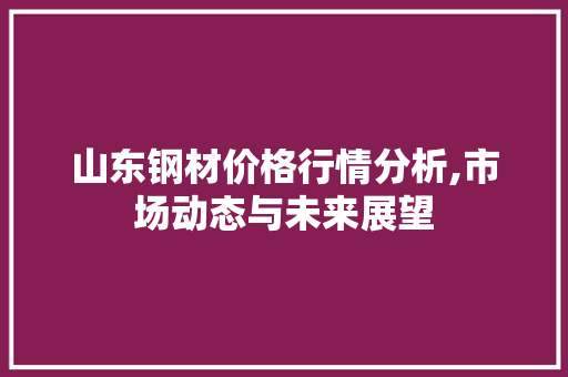 山东钢材价格行情分析,市场动态与未来展望