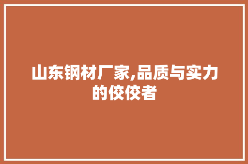 山东钢材厂家,品质与实力的佼佼者
