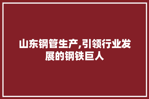 山东钢管生产,引领行业发展的钢铁巨人