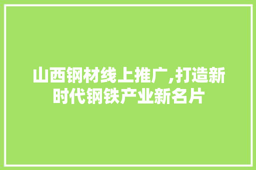 山西钢材线上推广,打造新时代钢铁产业新名片