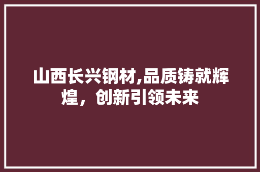 山西长兴钢材,品质铸就辉煌，创新引领未来