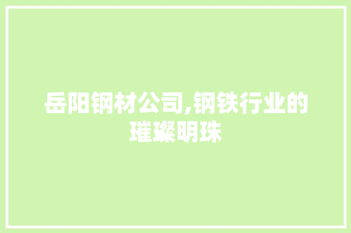 岳阳钢材公司,钢铁行业的璀璨明珠