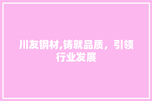 川友钢材,铸就品质，引领行业发展