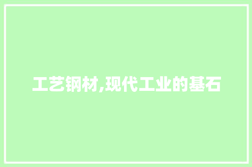 工艺钢材,现代工业的基石