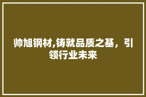 帅旭钢材,铸就品质之基，引领行业未来