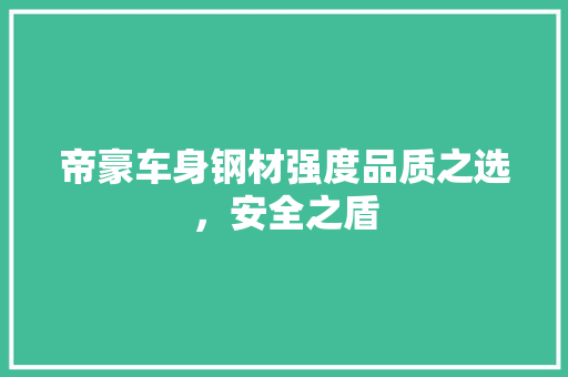 帝豪车身钢材强度品质之选，安全之盾