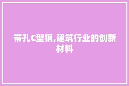 带孔C型钢,建筑行业的创新材料