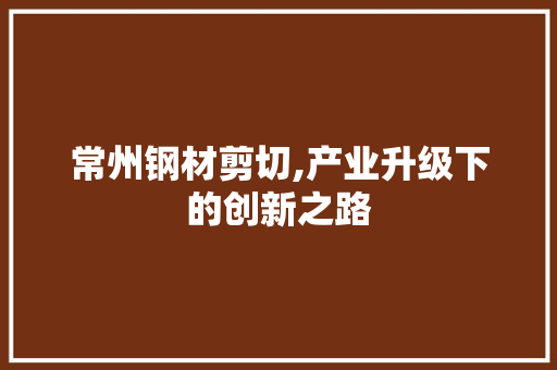 常州钢材剪切,产业升级下的创新之路