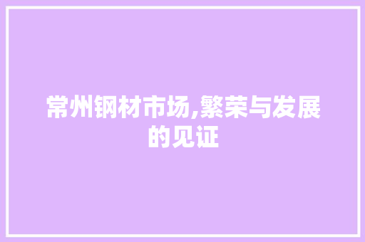 常州钢材市场,繁荣与发展的见证