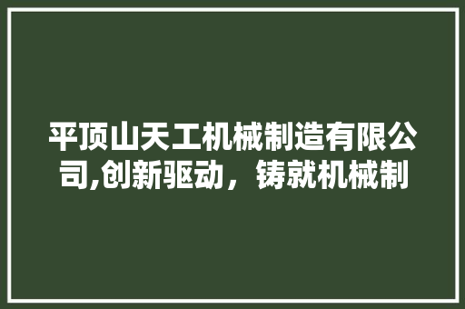 平顶山天工机械制造有限公司,创新驱动，铸就机械制造新篇章