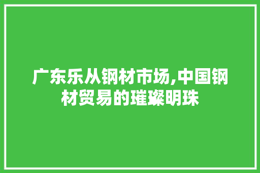 广东乐从钢材市场,中国钢材贸易的璀璨明珠