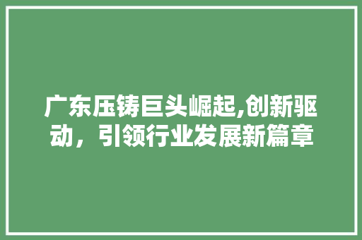 广东压铸巨头崛起,创新驱动，引领行业发展新篇章