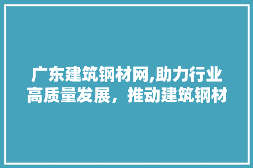 广东建筑钢材网,助力行业高质量发展，推动建筑钢材产业转型升级