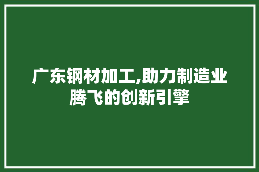 广东钢材加工,助力制造业腾飞的创新引擎