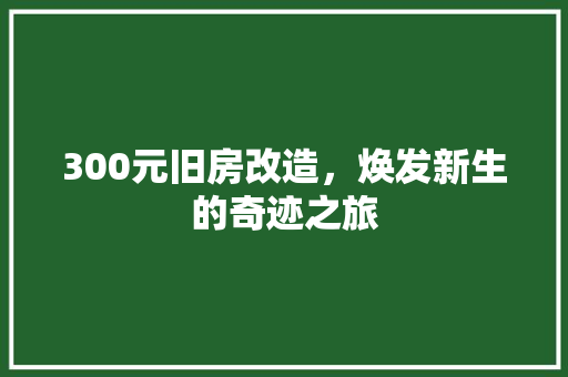 300元旧房改造，焕发新生的奇迹之旅