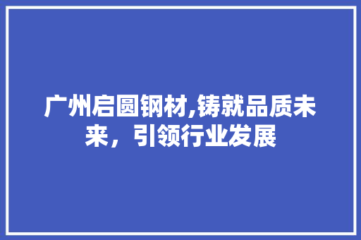 广州启圆钢材,铸就品质未来，引领行业发展