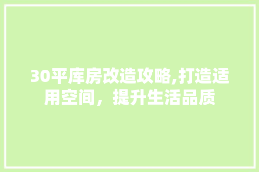 30平库房改造攻略,打造适用空间，提升生活品质