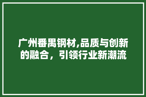 广州番禺钢材,品质与创新的融合，引领行业新潮流