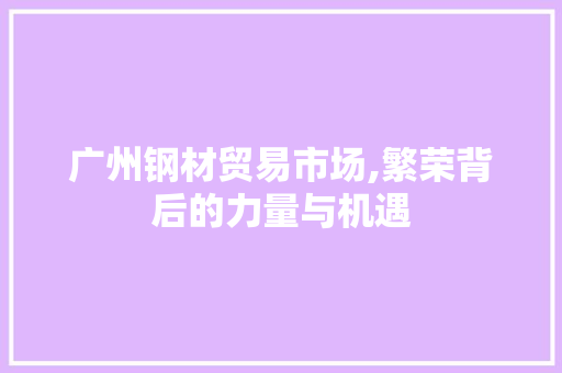 广州钢材贸易市场,繁荣背后的力量与机遇
