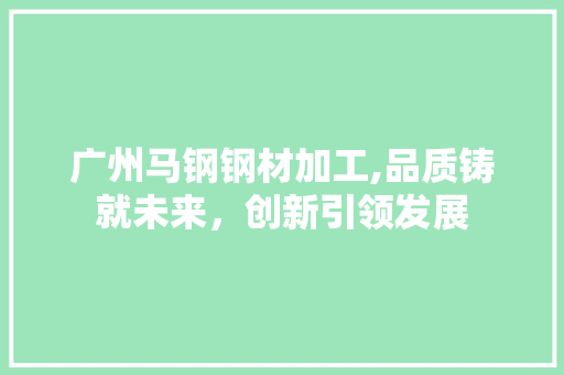 广州马钢钢材加工,品质铸就未来，创新引领发展