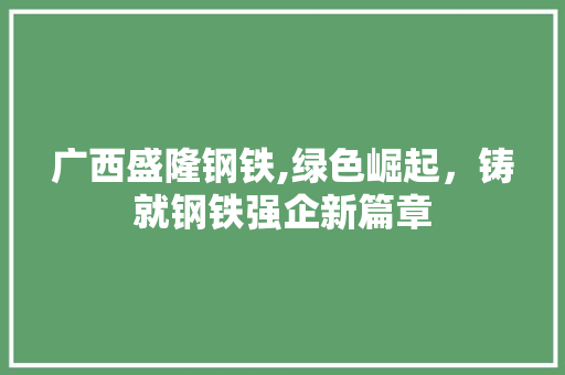 广西盛隆钢铁,绿色崛起，铸就钢铁强企新篇章