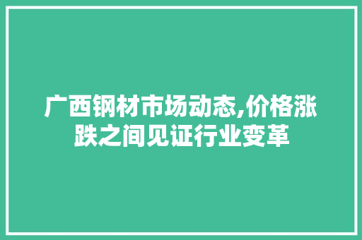 广西钢材市场动态,价格涨跌之间见证行业变革