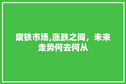 废铁市场,涨跌之间，未来走势何去何从