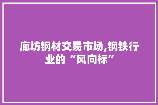 廊坊钢材交易市场,钢铁行业的“风向标”