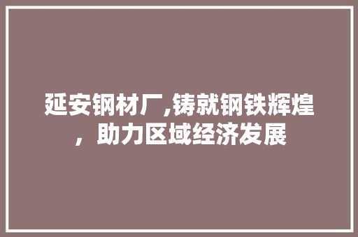 延安钢材厂,铸就钢铁辉煌，助力区域经济发展