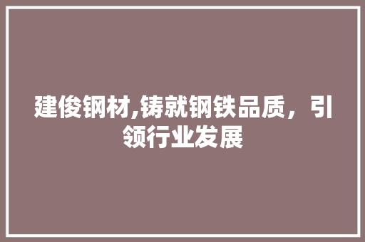 建俊钢材,铸就钢铁品质，引领行业发展