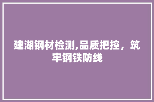 建湖钢材检测,品质把控，筑牢钢铁防线