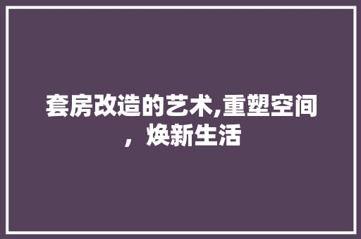 套房改造的艺术,重塑空间，焕新生活