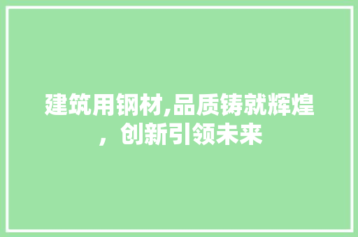 建筑用钢材,品质铸就辉煌，创新引领未来