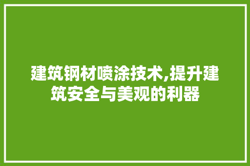 建筑钢材喷涂技术,提升建筑安全与美观的利器