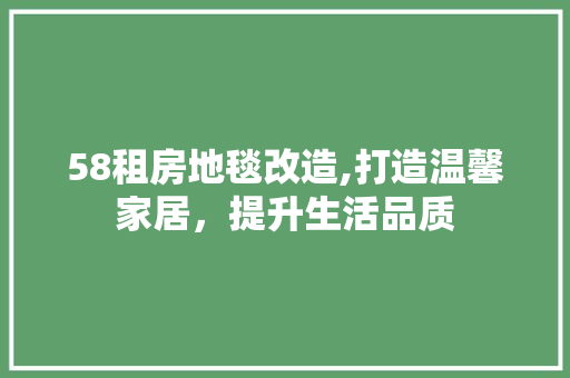 58租房地毯改造,打造温馨家居，提升生活品质