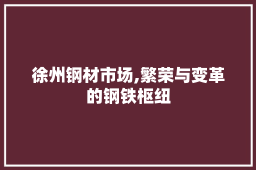 徐州钢材市场,繁荣与变革的钢铁枢纽