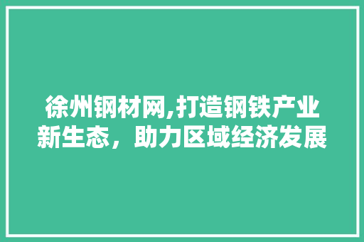 徐州钢材网,打造钢铁产业新生态，助力区域经济发展