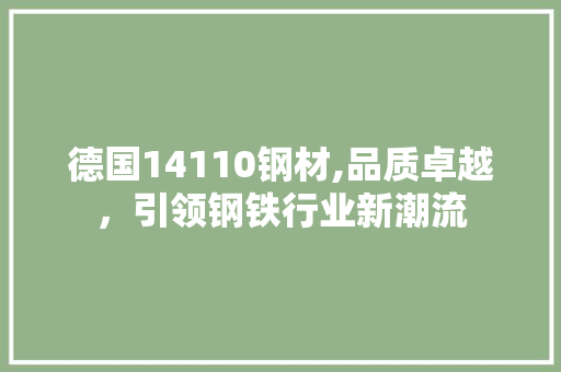 德国14110钢材,品质卓越，引领钢铁行业新潮流