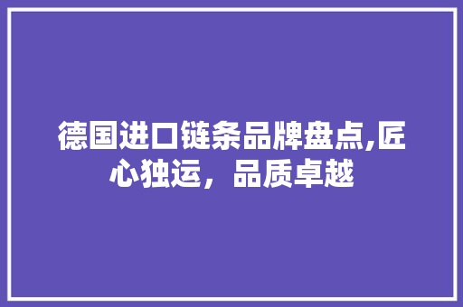 德国进口链条品牌盘点,匠心独运，品质卓越